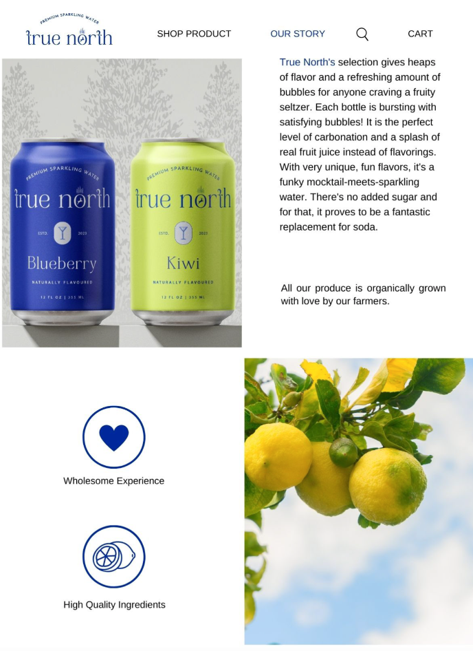 True North â€” website mockup