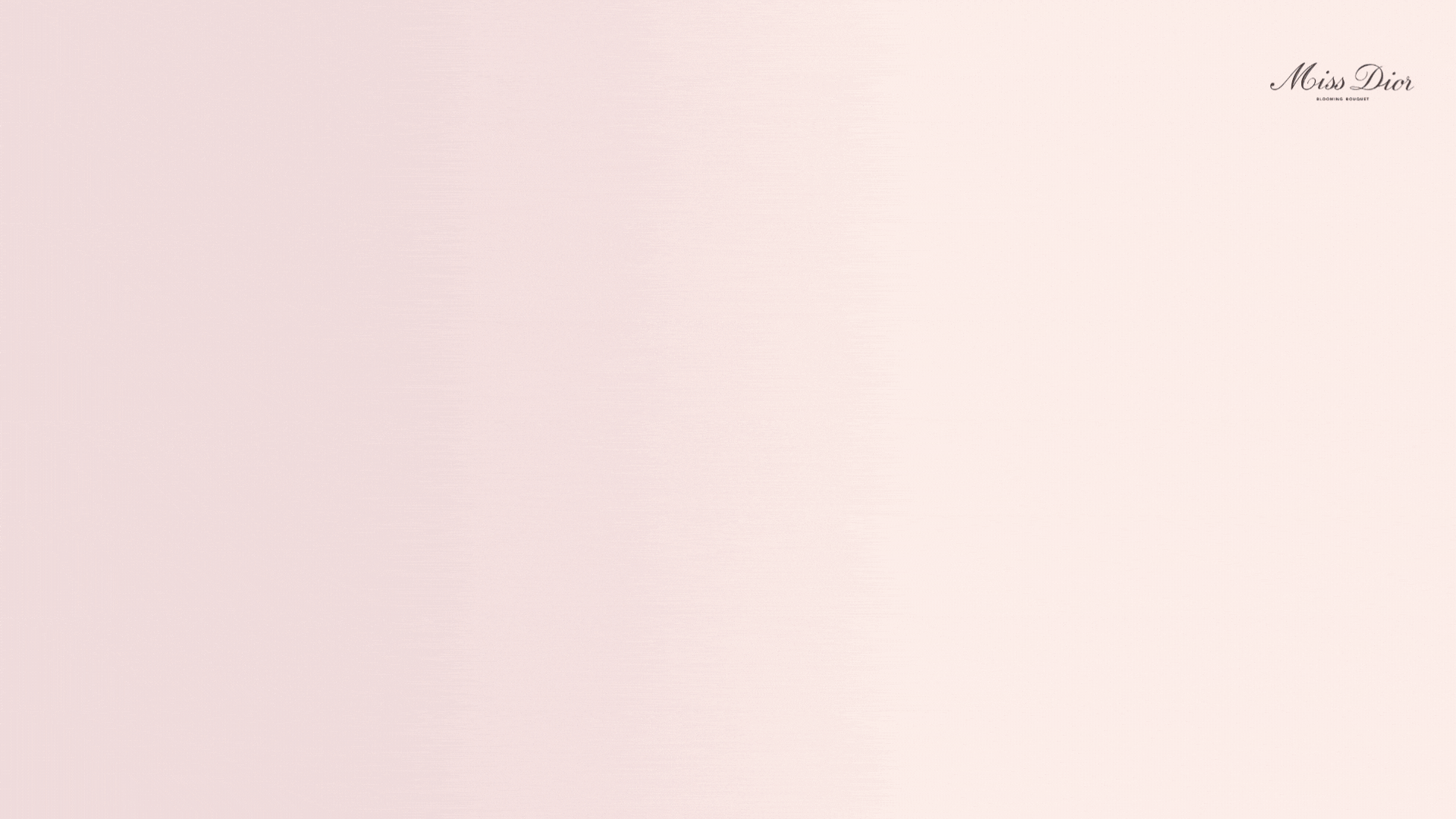 Branding â€” Marketing GIF 2 for Instagram