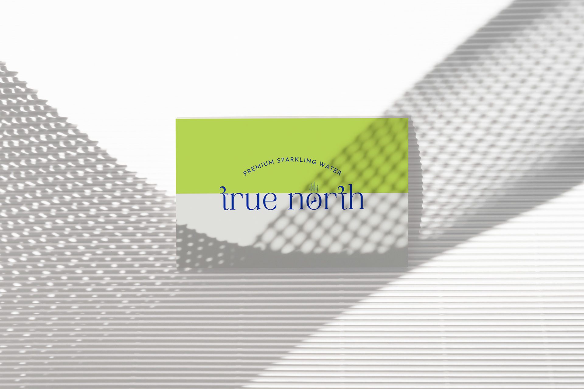 True North â€” business card mockup