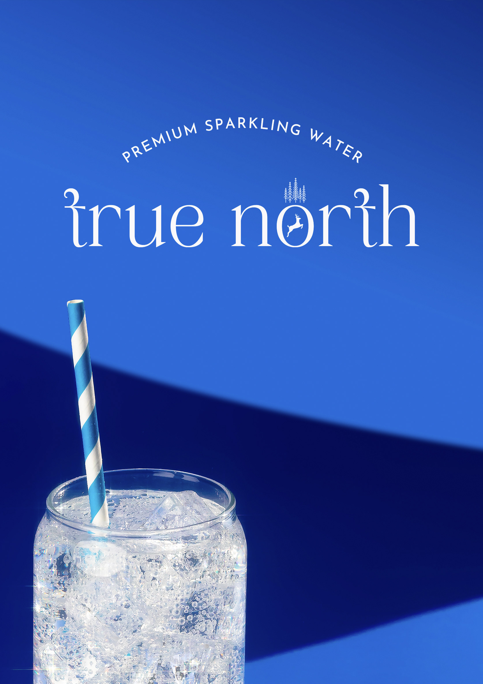 True North â€” brand photography with sparkling glass