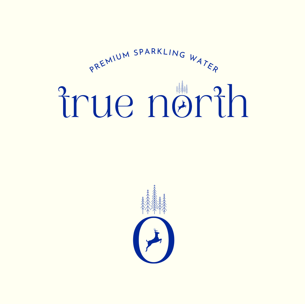 True North â€” logo and icon